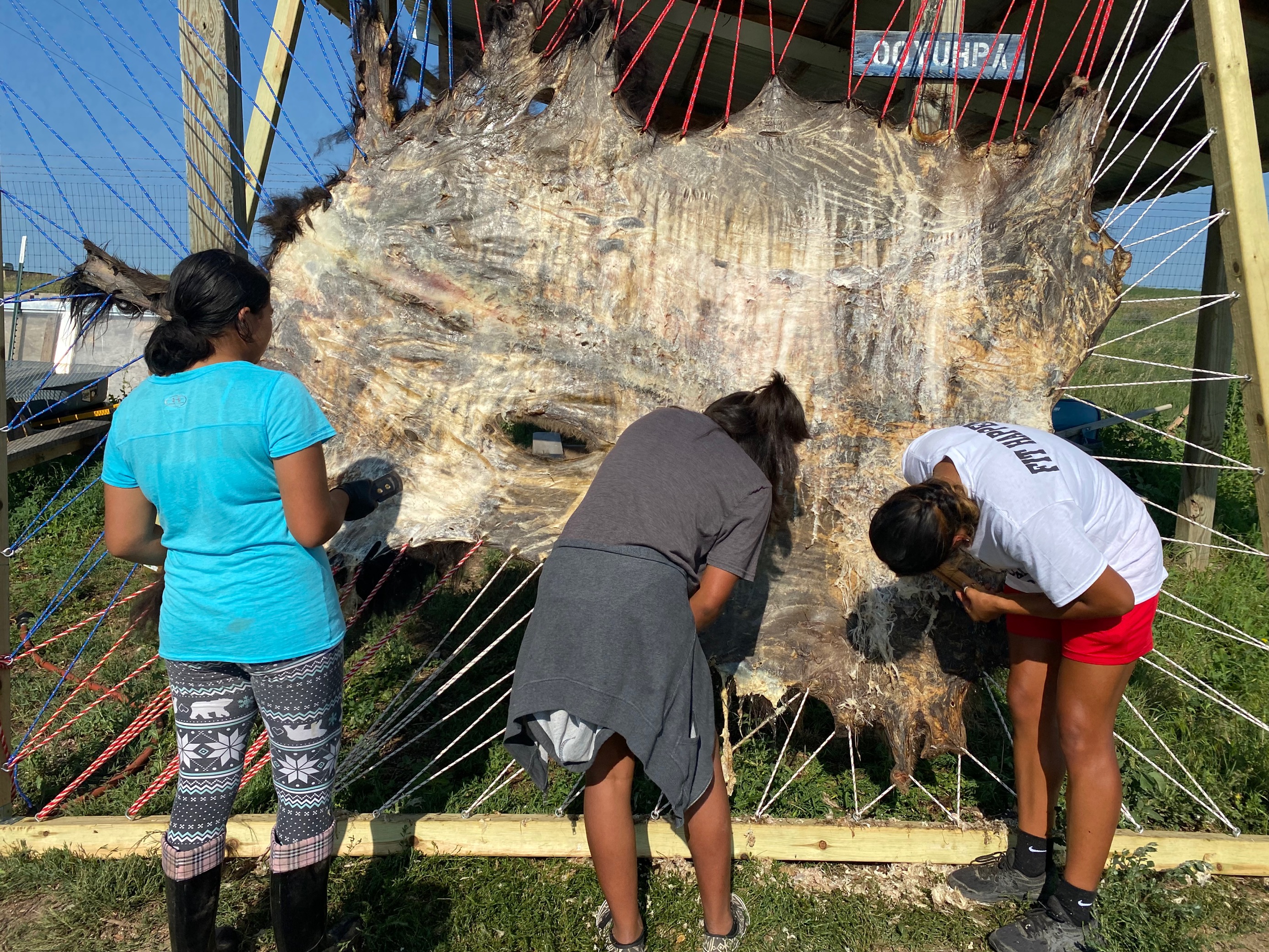 Children work together to clean a buffalo hide